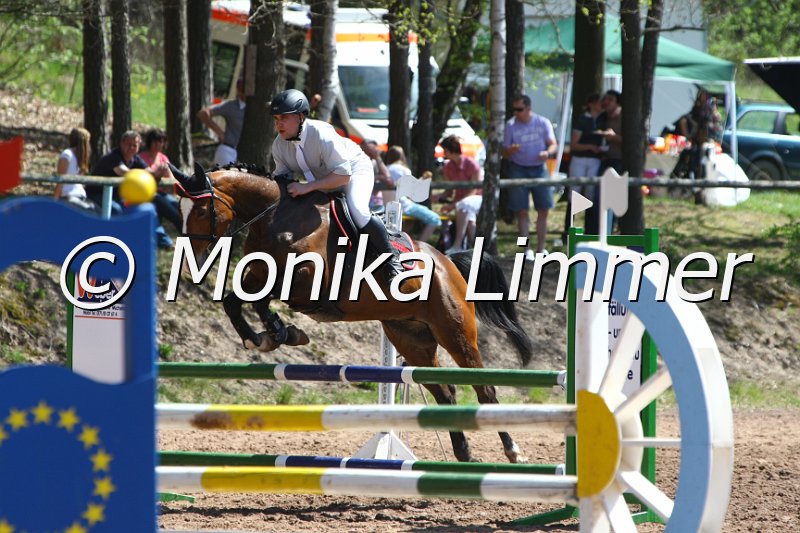 204M8210_Con Cherie_Springpferde_A.JPG